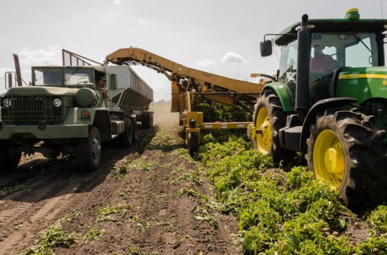 Cuaderno de explotación como herramienta de gestión agrícola